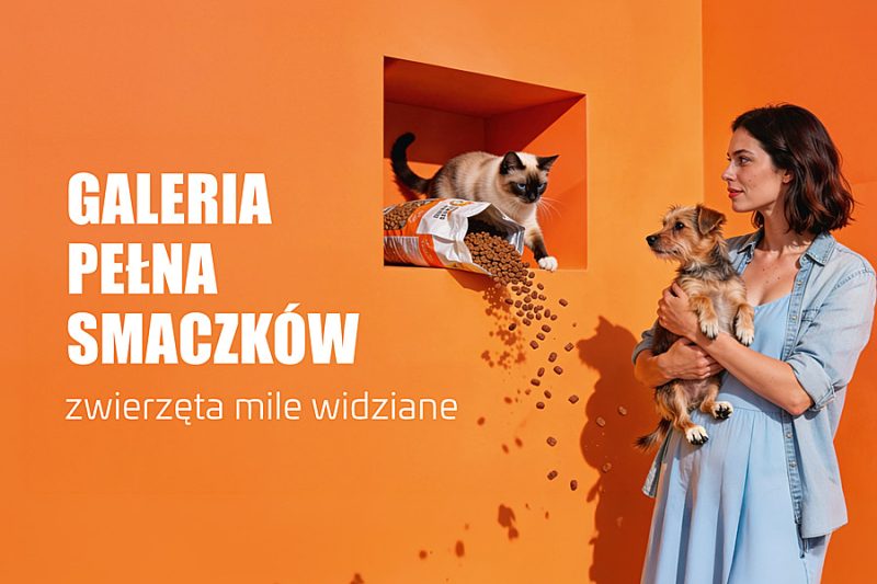 zwierzęta mile widziane galeria echo
