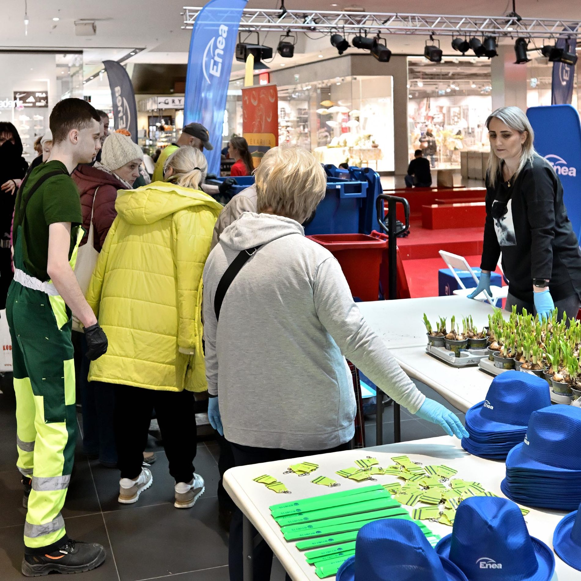 żonkile za elektrośmieci i makulaturę galeria echo