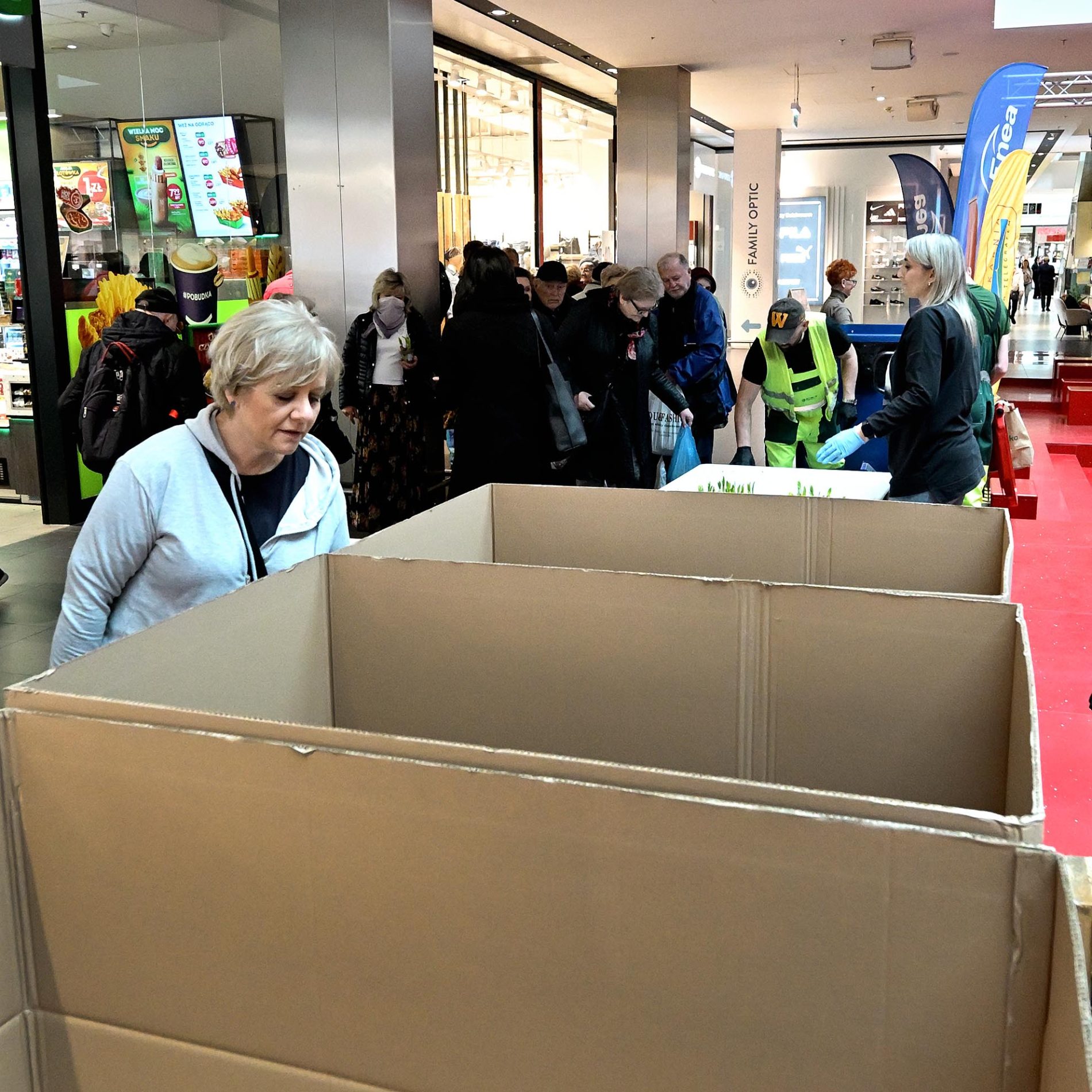 żonkile za elektrośmieci i makulaturę galeria echo