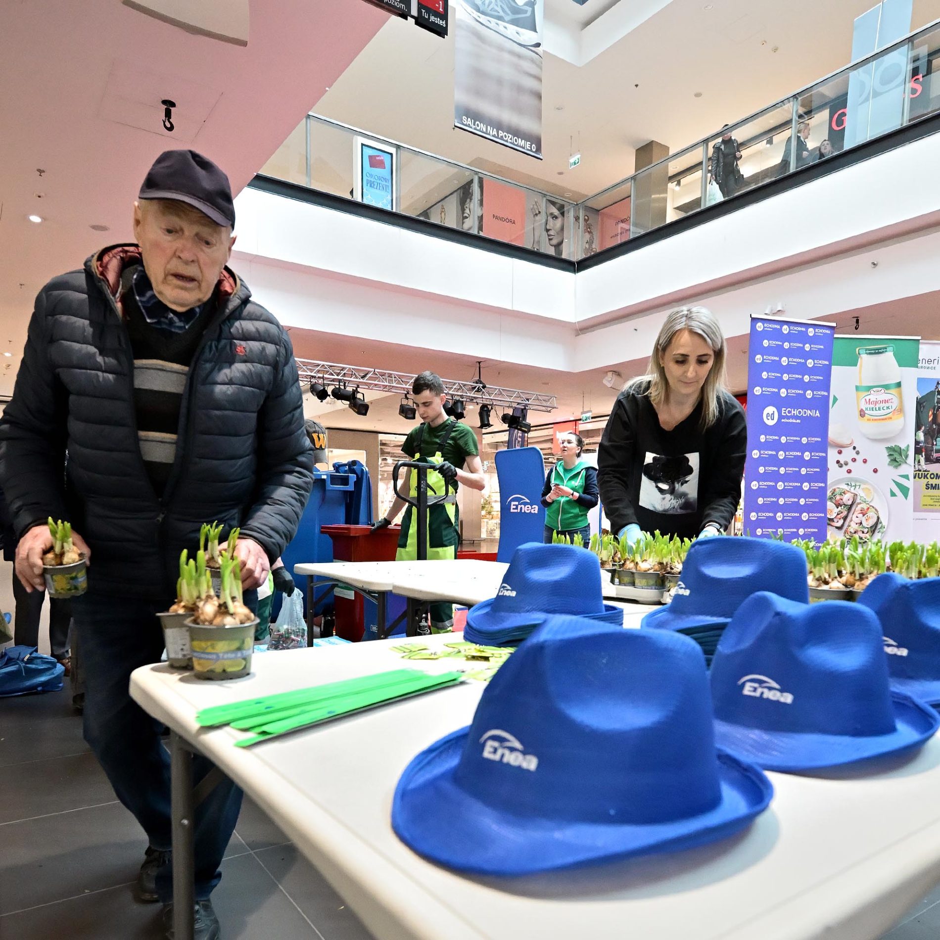 żonkile za elektrośmieci i makulaturę galeria echo