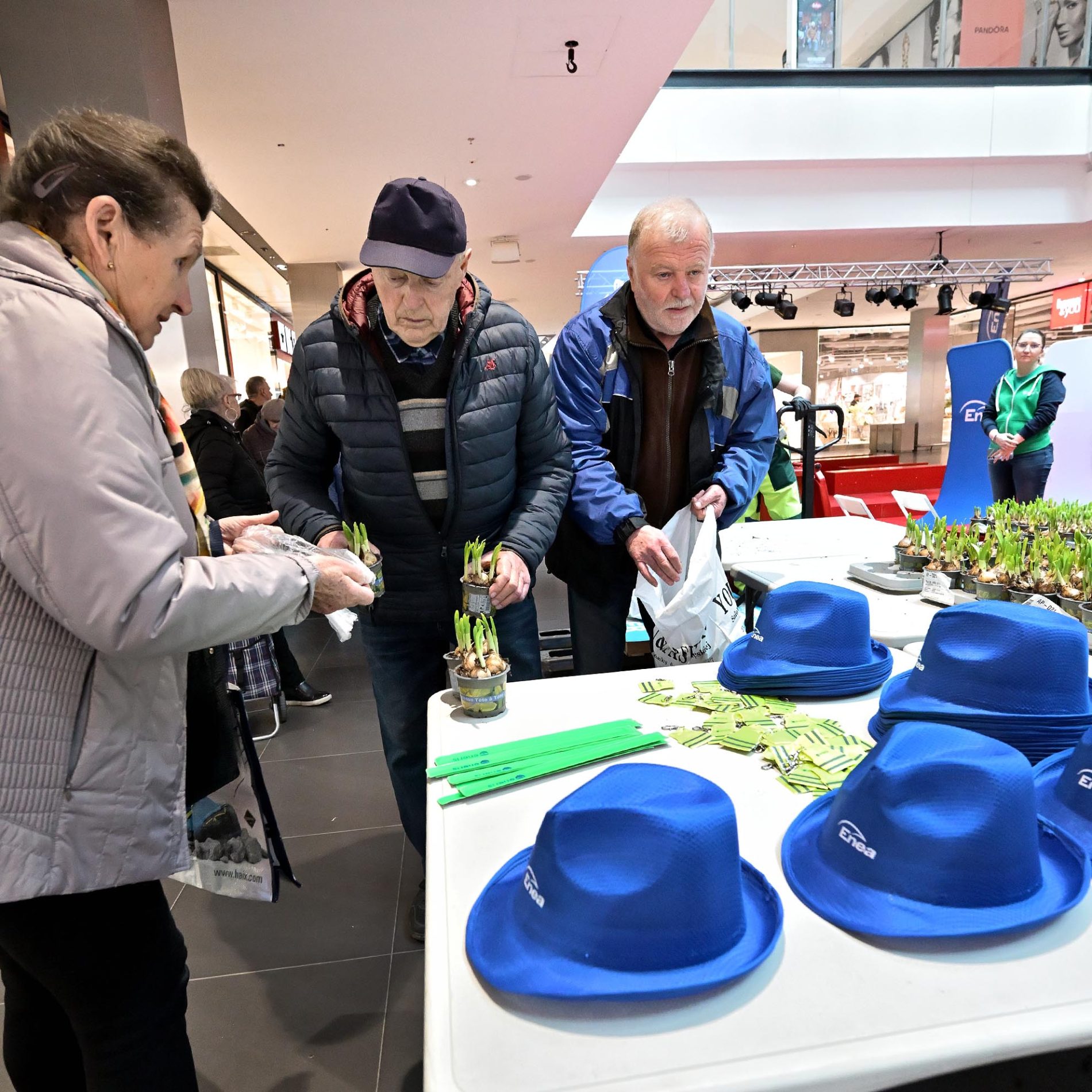 żonkile za elektrośmieci i makulaturę galeria echo