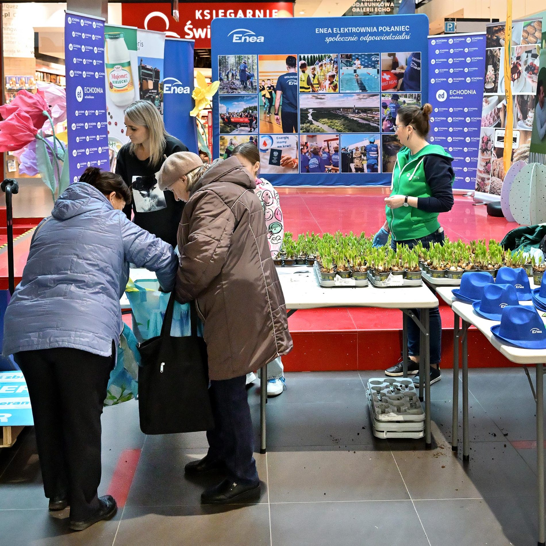 żonkile za elektrośmieci i makulaturę galeria echo