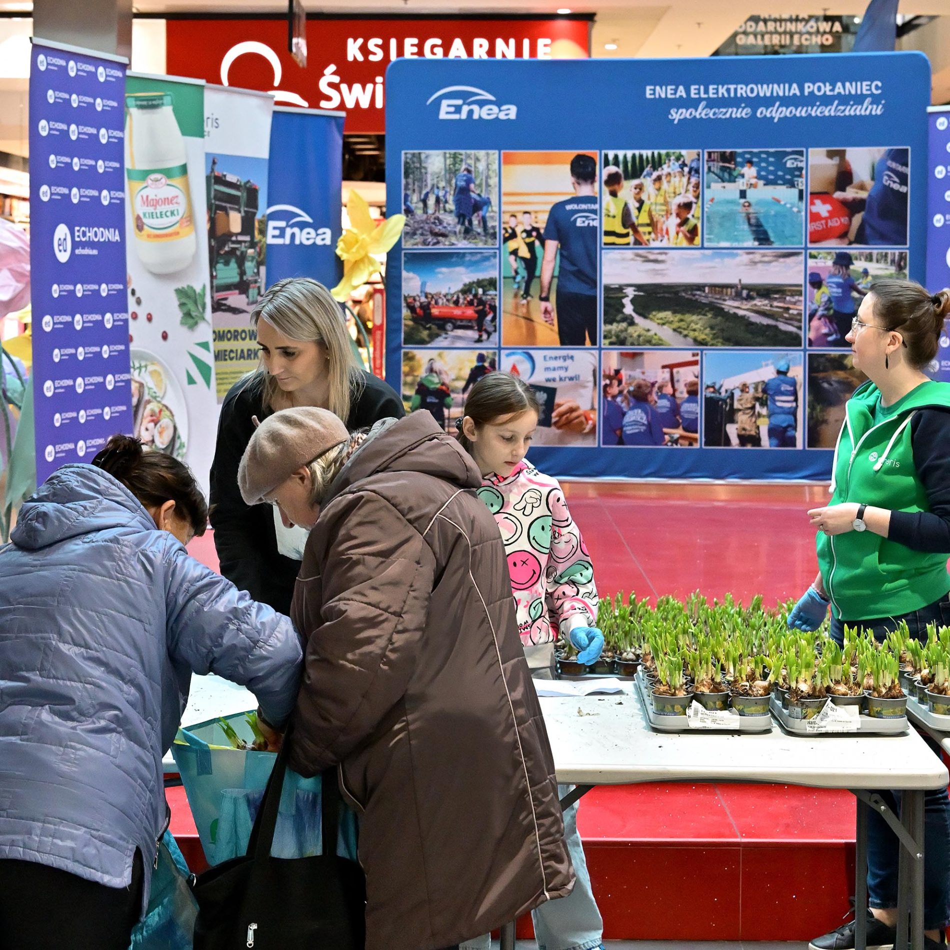 żonkile za elektrośmieci i makulaturę galeria echo