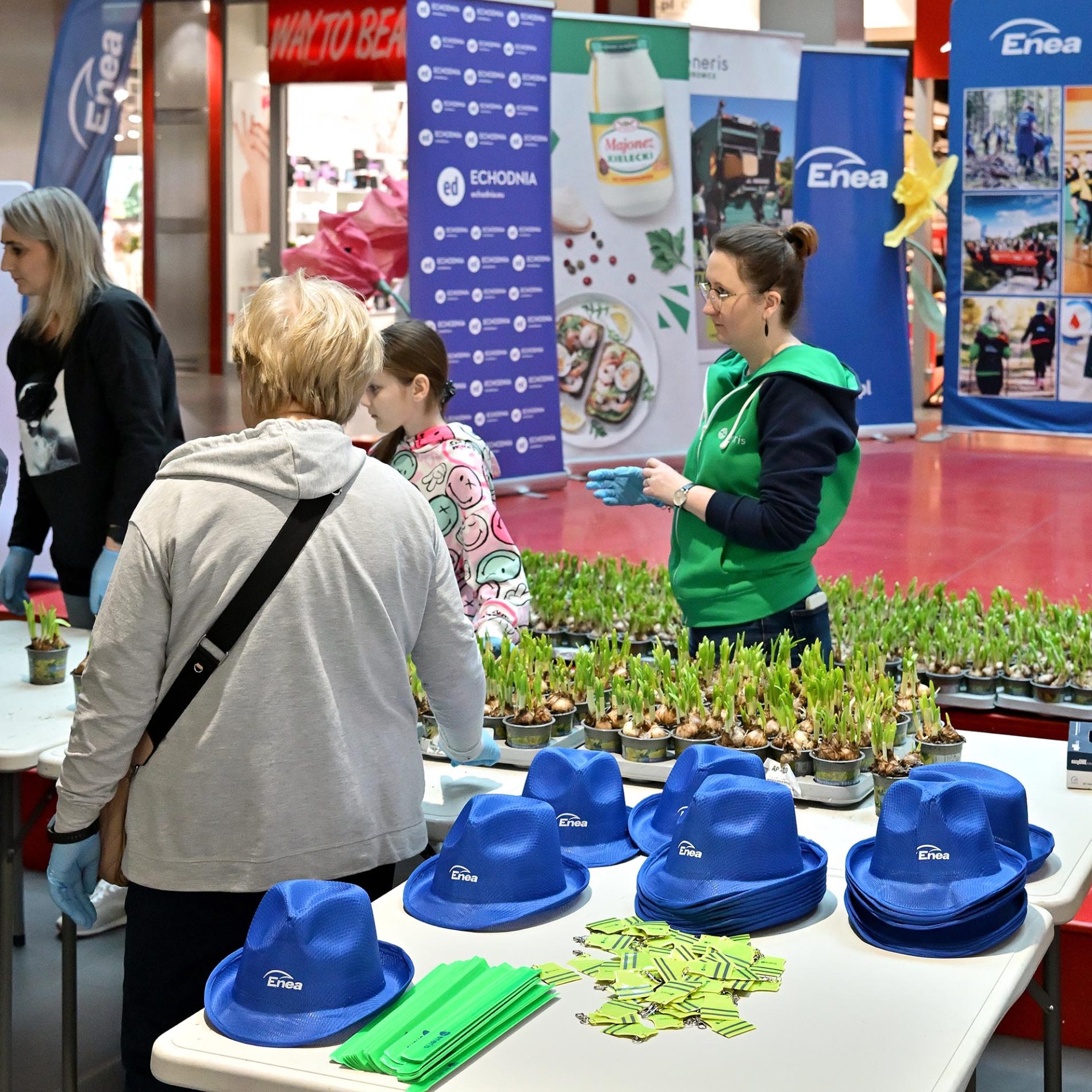 żonkile za elektrośmieci i makulaturę galeria echo