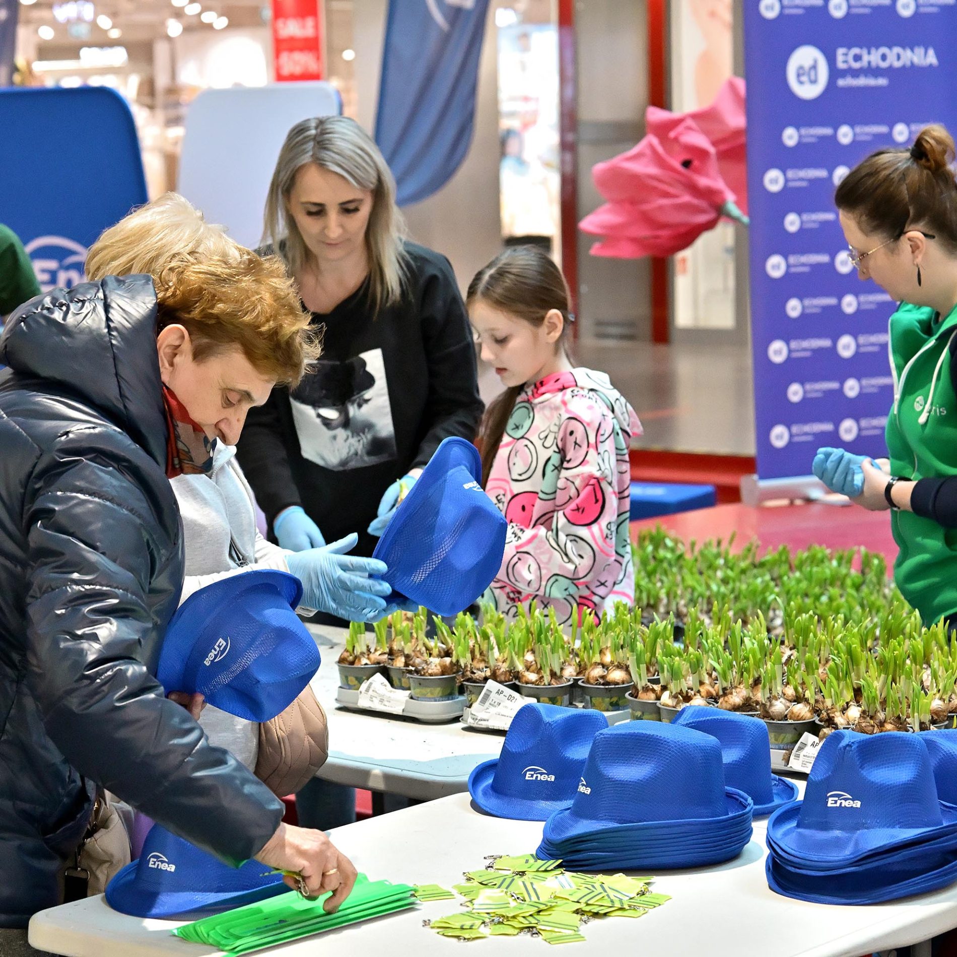 żonkile za elektrośmieci i makulaturę galeria echo