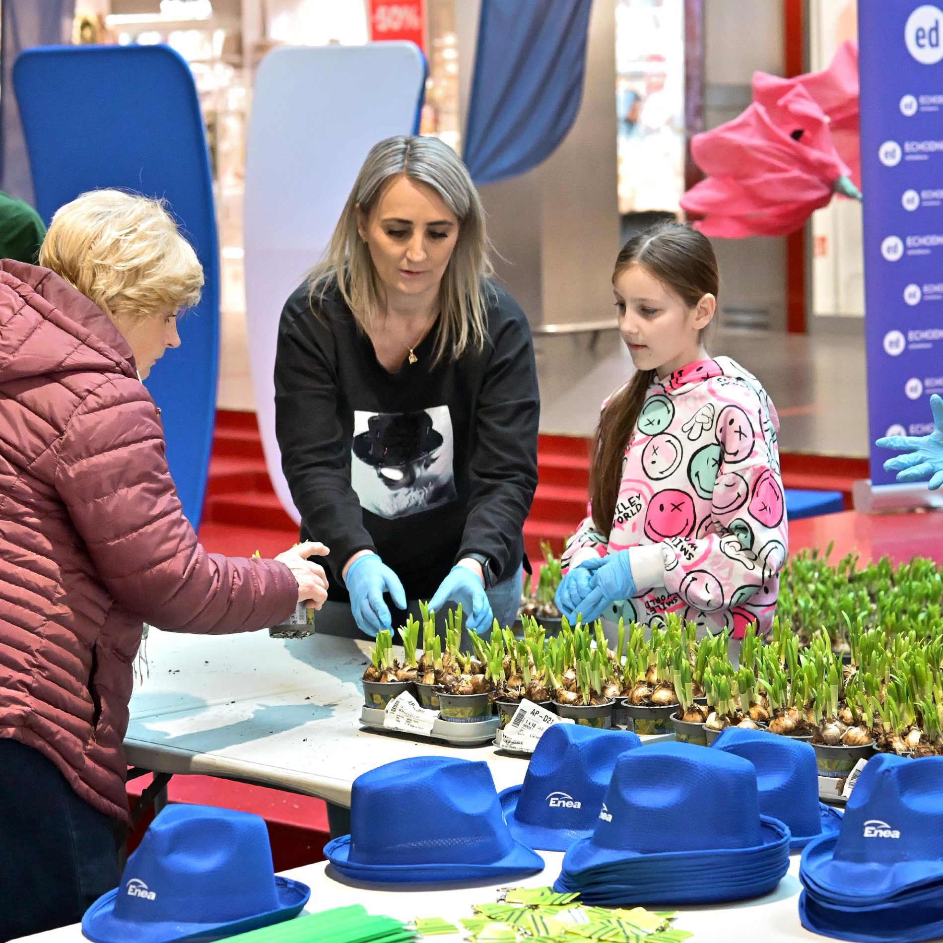 żonkile za elektrośmieci i makulaturę galeria echo