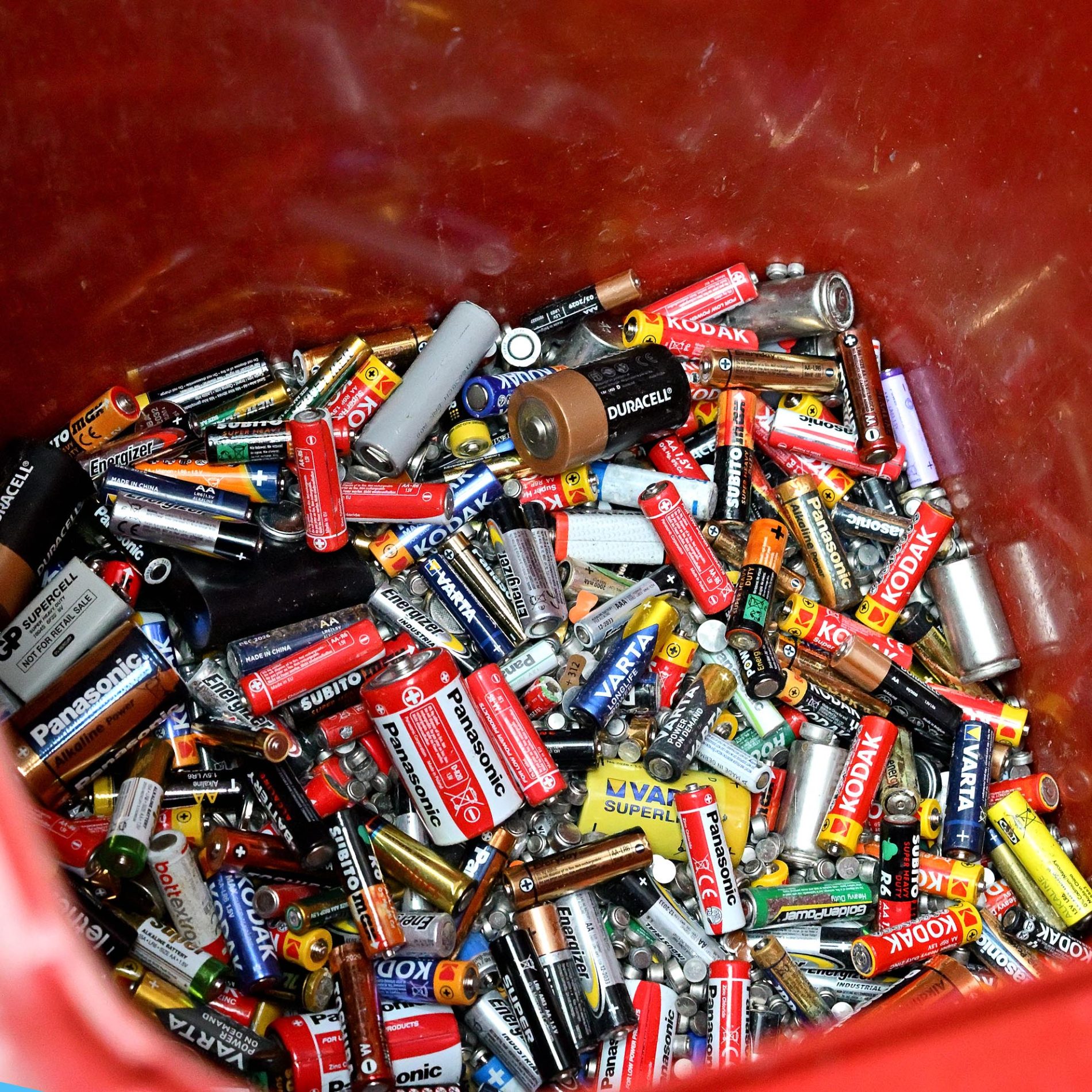 żonkile za elektrośmieci i makulaturę galeria echo