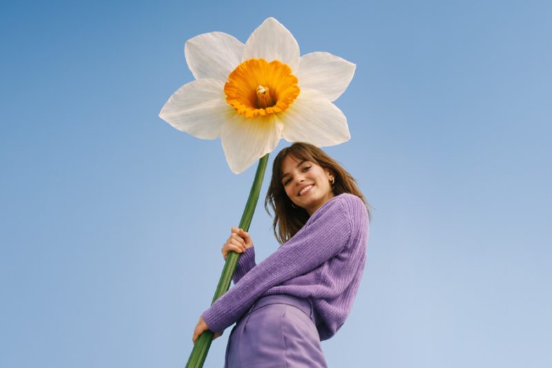 żonkile za makulaturę i elektrośmieci galeria echo