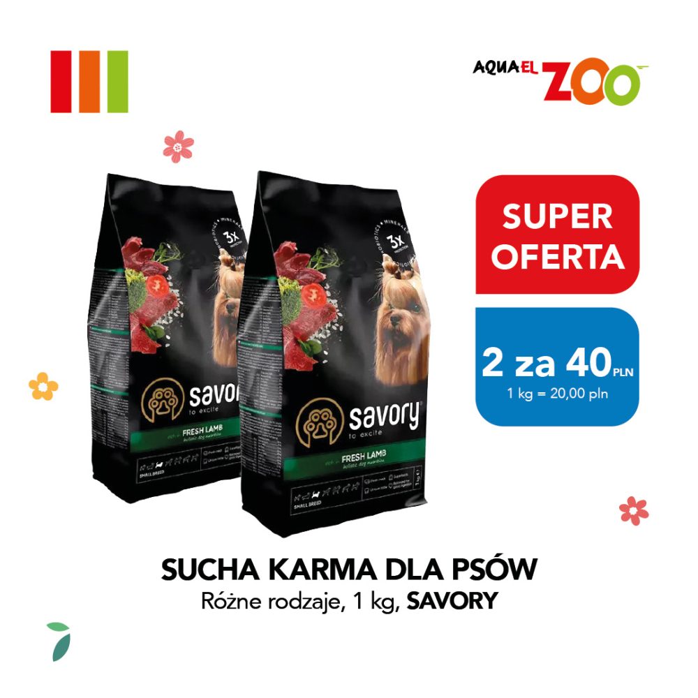Zdjęcie produktowe ukazuje dwa czarne worki karmy z serii dla małych ras, wyeksponowane obok kolorowych banerów z informacją o cenie jednostkowej wynoszącej 20 złotych za kilogram przy zakupie dwóch sztuk. Całość materiału marketingowego dopełnia charakterystyczne, wielokolorowe logo sieci sklepów zoologicznych w prawym górnym rogu.