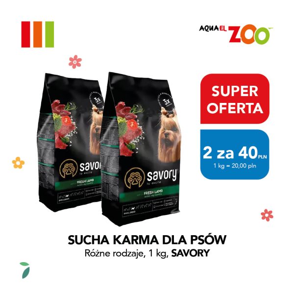 Zdjęcie produktowe ukazuje dwa czarne worki karmy z serii dla małych ras, wyeksponowane obok kolorowych banerów z informacją o cenie jednostkowej wynoszącej 20 złotych za kilogram przy zakupie dwóch sztuk. Całość materiału marketingowego dopełnia charakterystyczne, wielokolorowe logo sieci sklepów zoologicznych w prawym górnym rogu.