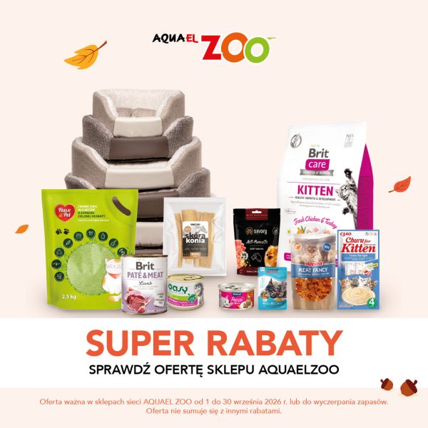 Kwadratowa grafika promocyjna sieci Aquael ZOO na jasnym tle ozdobionym jesiennymi liśćmi i żołędziami. Na zdjęciu przedstawiono artykuły dla zwierząt: wielopoziomowe miękkie legowisko, zielone opakowanie żwirku tofu dla kotów Have a Pet, karmy i przysmaki marek Brit, Savory, Oasy, Poésie, Appétit oraz Churu. W dolnej części widnieje duży napis SUPER RABATY SPRAWDŹ OFERTĘ SKLEPU AQUAELZOO oraz logo AQUAEL ZOO.