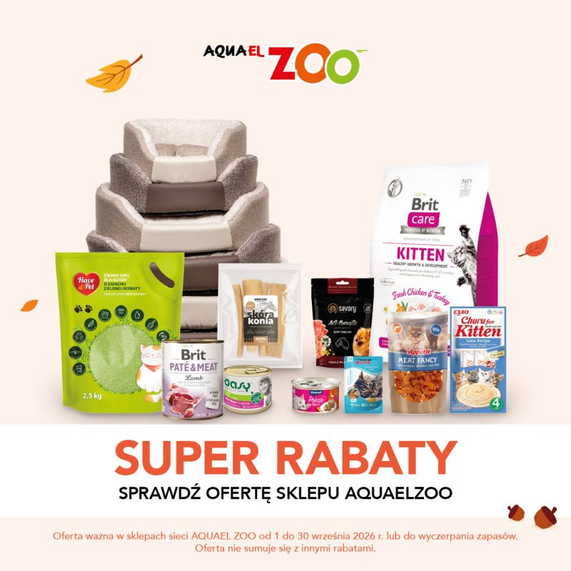 Kwadratowa grafika promocyjna sieci Aquael ZOO na jasnym tle ozdobionym jesiennymi liśćmi i żołędziami. Na zdjęciu przedstawiono artykuły dla zwierząt: wielopoziomowe miękkie legowisko, zielone opakowanie żwirku tofu dla kotów Have a Pet, karmy i przysmaki marek Brit, Savory, Oasy, Poésie, Appétit oraz Churu. W dolnej części widnieje duży napis SUPER RABATY SPRAWDŹ OFERTĘ SKLEPU AQUAELZOO oraz logo AQUAEL ZOO.