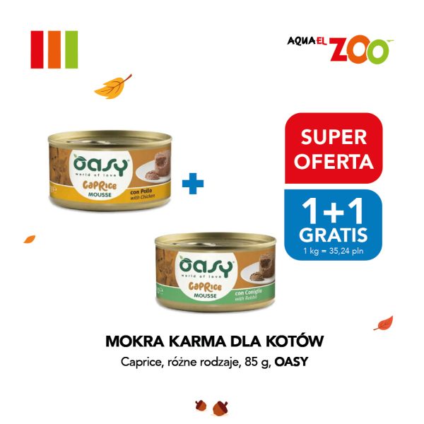 Grafika promocyjna sklepu Aquael Zoo z okazji Światowego Dnia Zwierząt. Na białym tle z motywem jesiennych liści przedstawiono dwie puszki mokrej karmy dla kotów Oasy Caprice Mousse (po 85 g) w ofercie „1+1 gratis”. W prawym górnym rogu znajduje się logo marki Aquael Zoo, a obok czerwone i niebieskie oznaczenie „Super Oferta: 1+1 gratis”. Na dole widoczny jest napis „Mokra karma dla kotów Caprice, różne rodzaje, 85 g, Oasy” oraz informacja o cenie przeliczeniowej.